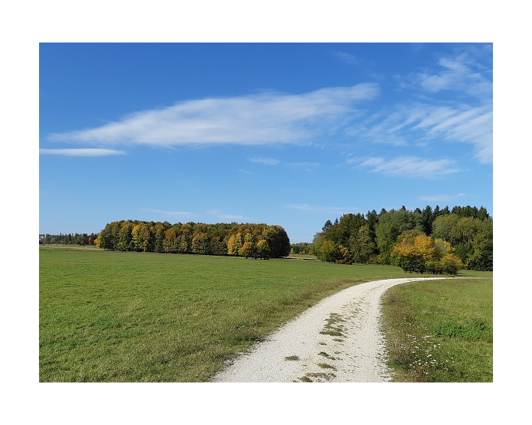 Im Herbst 2019 (18)
